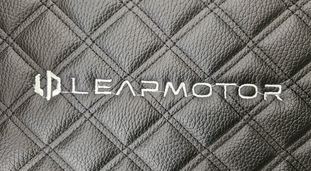 LEAPMOTOR